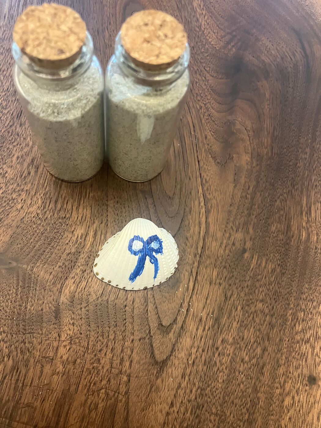 White sand dollar tied with a little blue bow